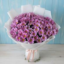 Букет цветов из:  Хризантемы в Ленинауле