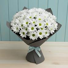 Букет цветов из:  Хризантемы #REPLACE_PRED# Ленинауле