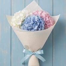 Букет цветов из:  Гортензия в Ленинауле