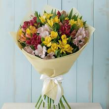 Букет цветов из:  Альстромерии в Ленинауле