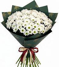 Букет цветов из:  Хризантемы в Ленинауле