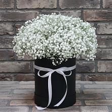 Цветочная композиция из Гипсофила в шляпной коробке в Ленинауле