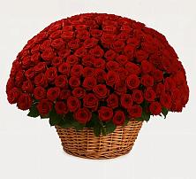 Премиум букет из: Розы в Ленинауле